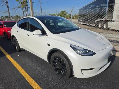 TESLA MODEL Y 2022 7SAYGDEE2NA014503 image